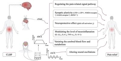 Non-invasive brain neuromodulation techniques for chronic low back pain